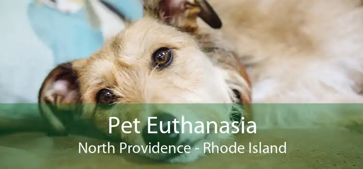 Pet Euthanasia North Providence - Rhode Island
