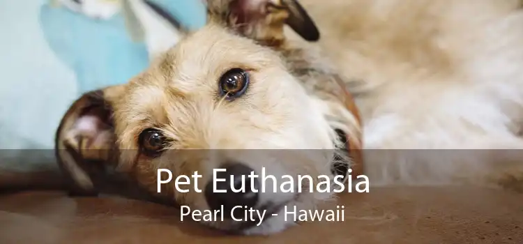 Pet Euthanasia Pearl City - Hawaii