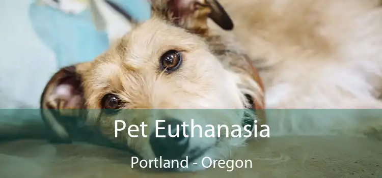 Pet Euthanasia Portland - Oregon