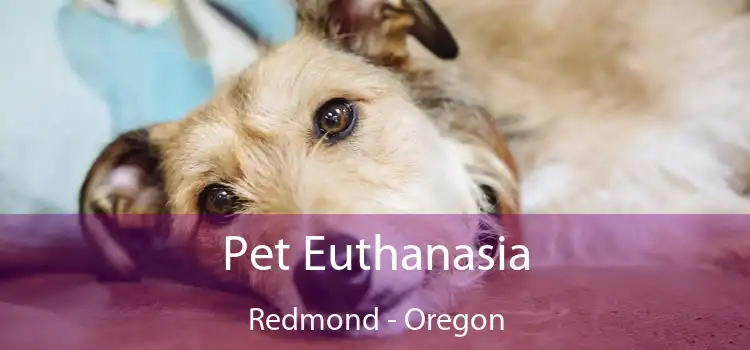 Pet Euthanasia Redmond - Oregon