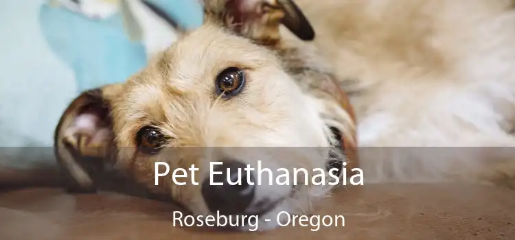 Pet Euthanasia Roseburg - Oregon