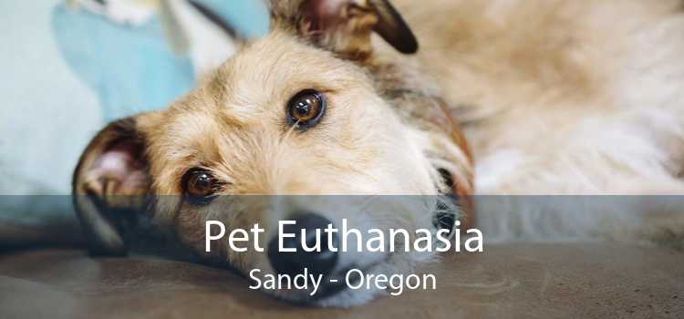 Pet Euthanasia Sandy - Oregon