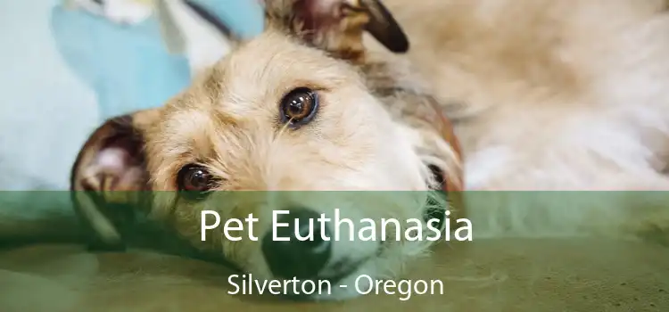 Pet Euthanasia Silverton - Oregon