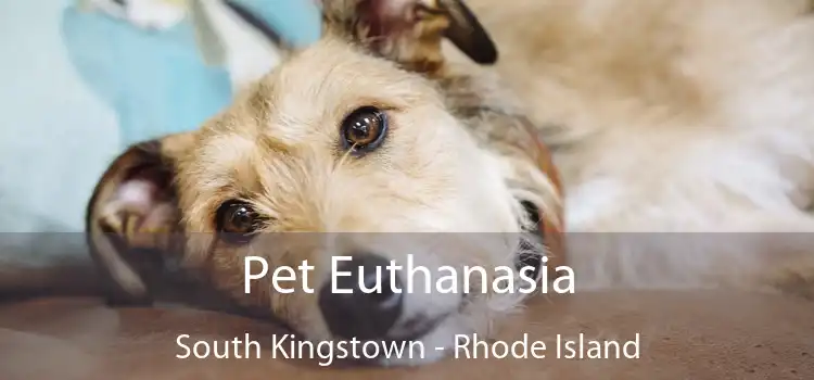 Pet Euthanasia South Kingstown - Rhode Island