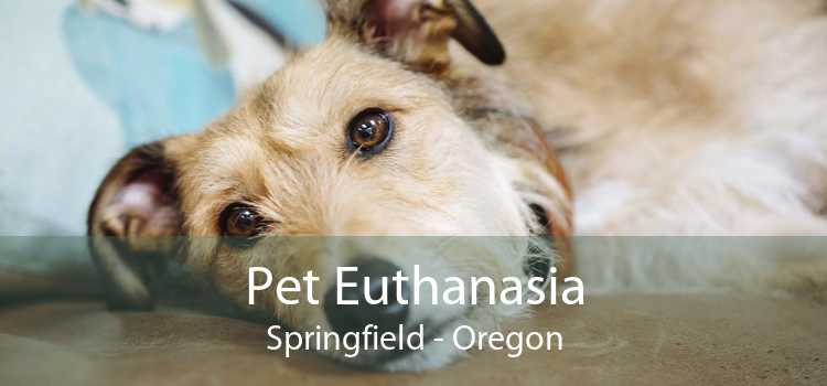 Pet Euthanasia Springfield - Oregon