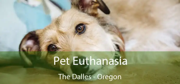 Pet Euthanasia The Dalles - Oregon