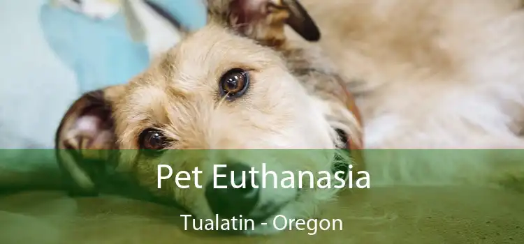 Pet Euthanasia Tualatin - Oregon