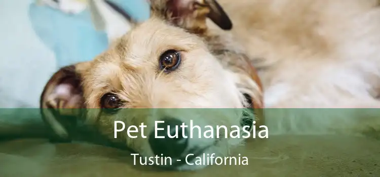 Pet Euthanasia Tustin - California