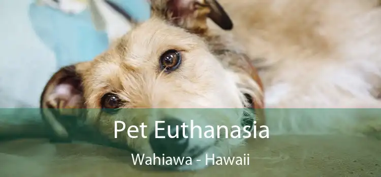 Pet Euthanasia Wahiawa - Hawaii