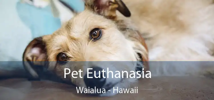 Pet Euthanasia Waialua - Hawaii