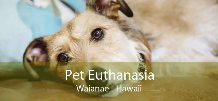 Pet Euthanasia Waianae - Hawaii