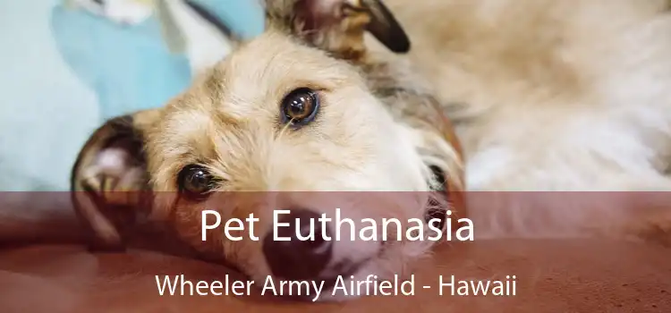Pet Euthanasia Wheeler Army Airfield - Hawaii