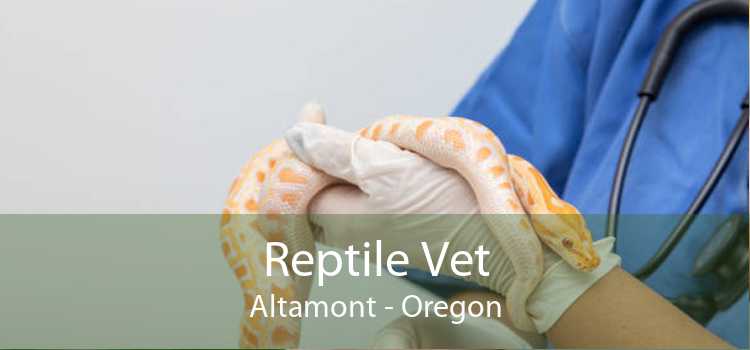 Reptile Vet Altamont - Oregon