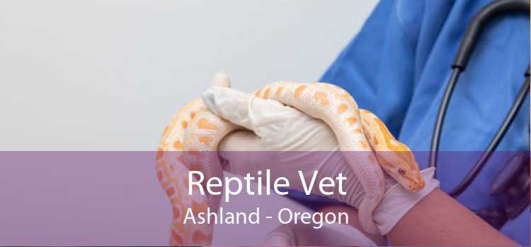 Reptile Vet Ashland - Oregon