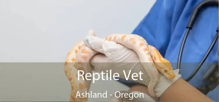 Reptile Vet Ashland - Oregon