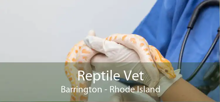 Reptile Vet Barrington - Rhode Island