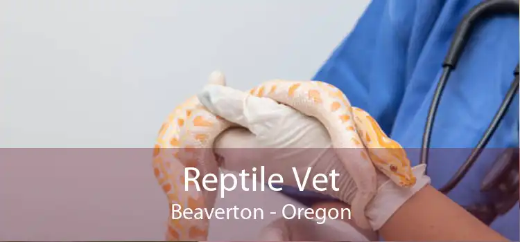 Reptile Vet Beaverton - Oregon