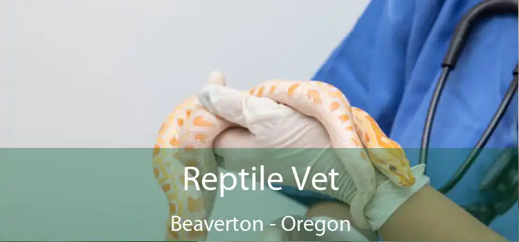 Reptile Vet Beaverton - Oregon