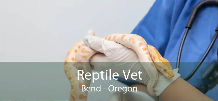 Reptile Vet Bend - Oregon