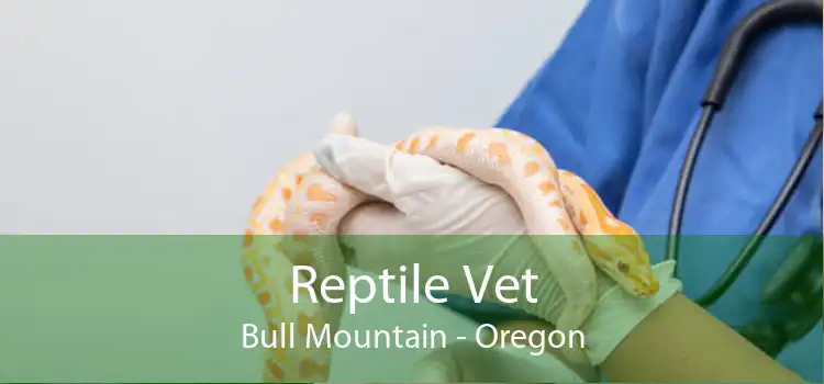Reptile Vet Bull Mountain - Oregon