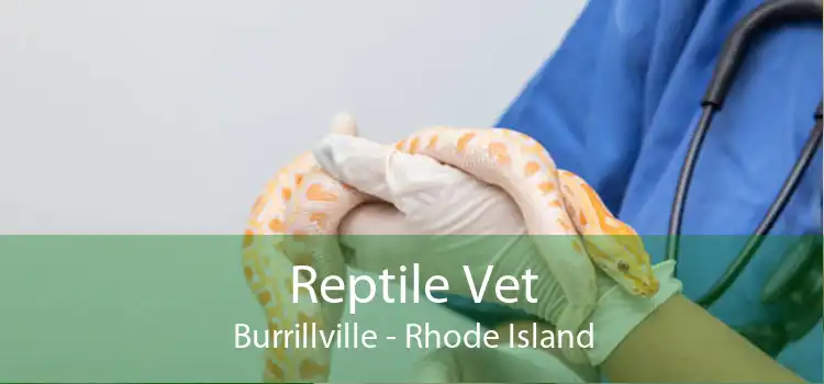 Reptile Vet Burrillville - Rhode Island