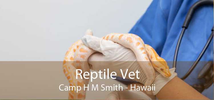 Reptile Vet Camp H M Smith - Hawaii