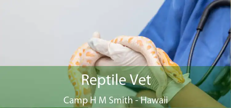 Reptile Vet Camp H M Smith - Hawaii