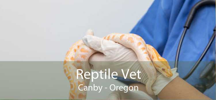 Reptile Vet Canby - Oregon