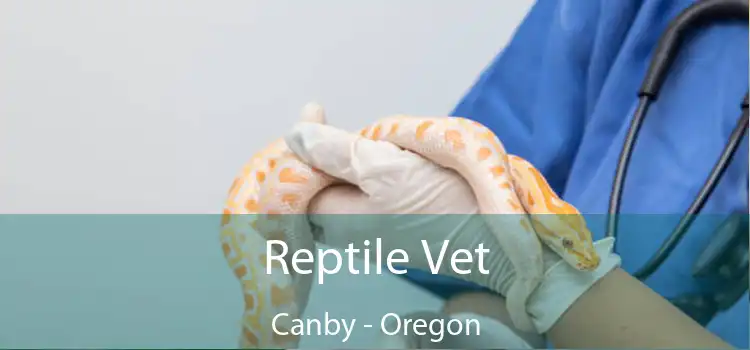 Reptile Vet Canby - Oregon