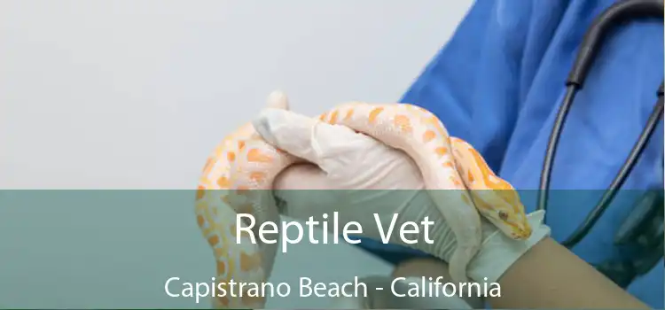 Reptile Vet Capistrano Beach - California