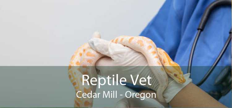 Reptile Vet Cedar Mill - Oregon