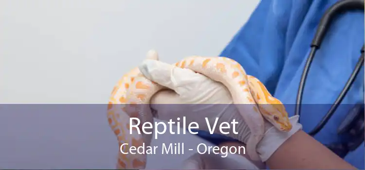 Reptile Vet Cedar Mill - Oregon