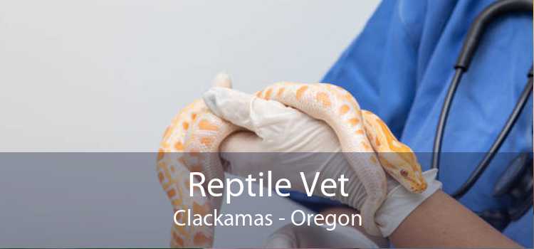 Reptile Vet Clackamas - Oregon