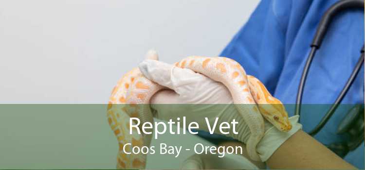 Reptile Vet Coos Bay - Oregon