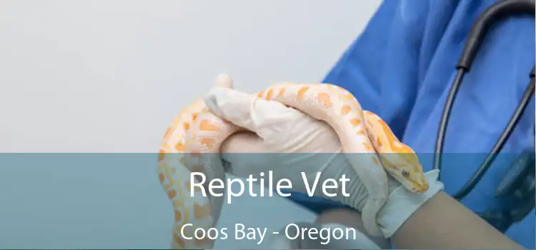 Reptile Vet Coos Bay - Oregon