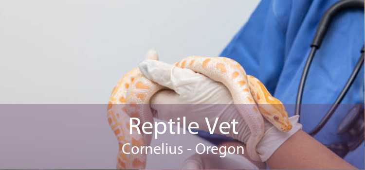 Reptile Vet Cornelius - Oregon
