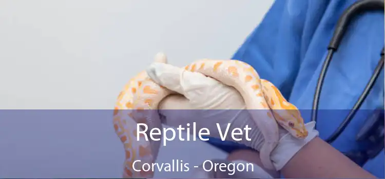 Reptile Vet Corvallis - Oregon