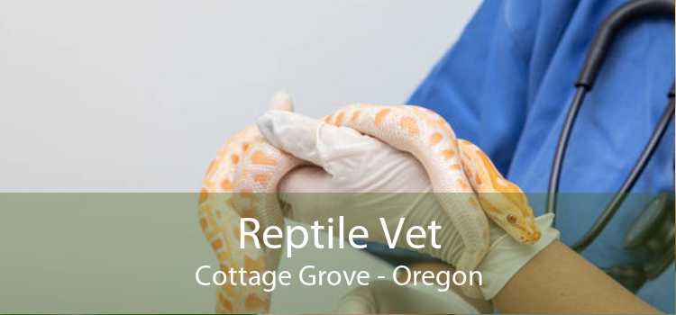 Reptile Vet Cottage Grove - Oregon