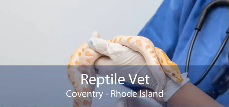 Reptile Vet Coventry - Rhode Island