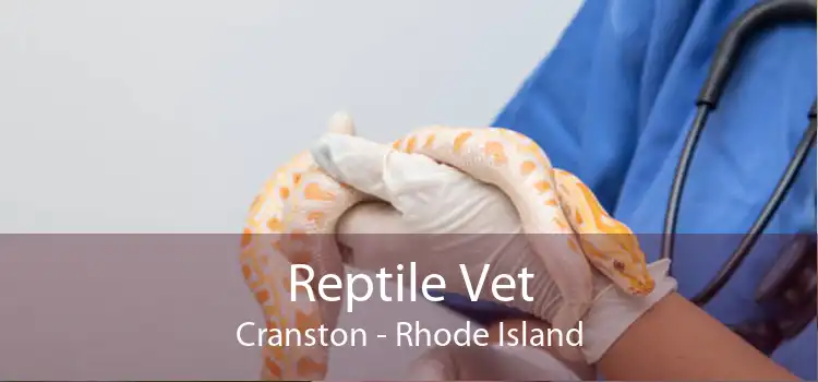 Reptile Vet Cranston - Rhode Island