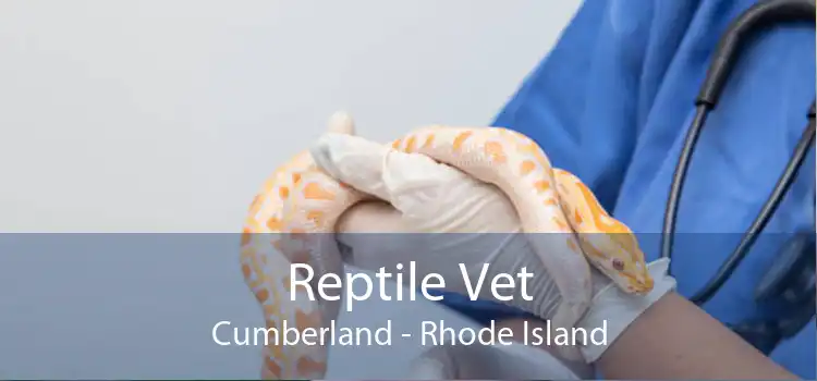 Reptile Vet Cumberland - Rhode Island