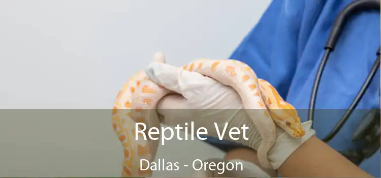 Reptile Vet Dallas - Oregon