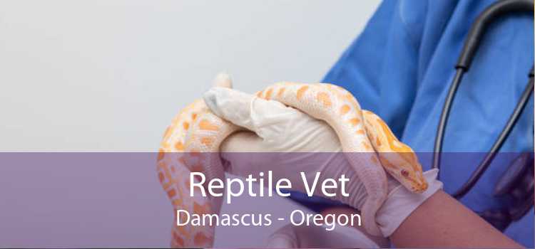 Reptile Vet Damascus - Oregon