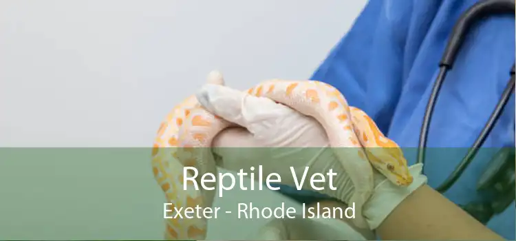 Reptile Vet Exeter - Rhode Island