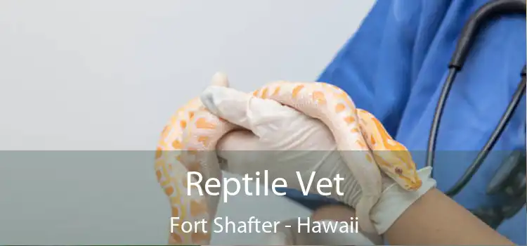 Reptile Vet Fort Shafter - Hawaii