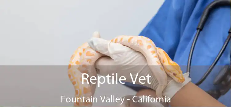 Reptile Vet Fountain Valley - California