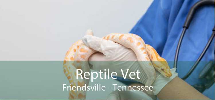 Reptile Vet Friendsville - Tennessee