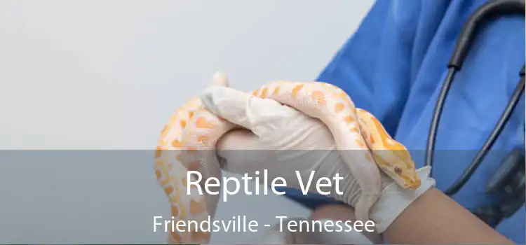 Reptile Vet Friendsville - Tennessee