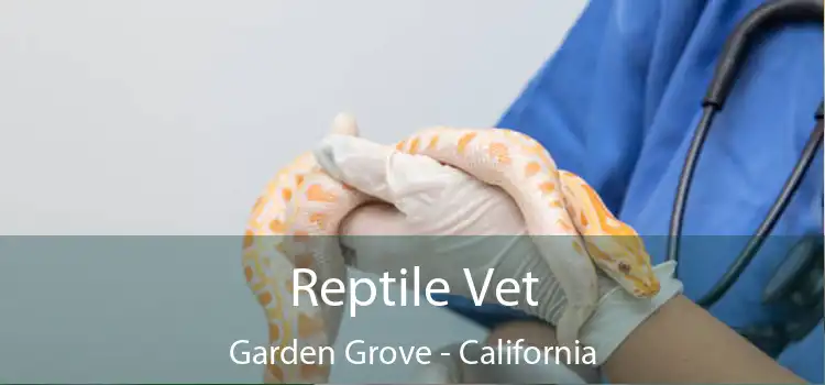 Reptile Vet Garden Grove - California