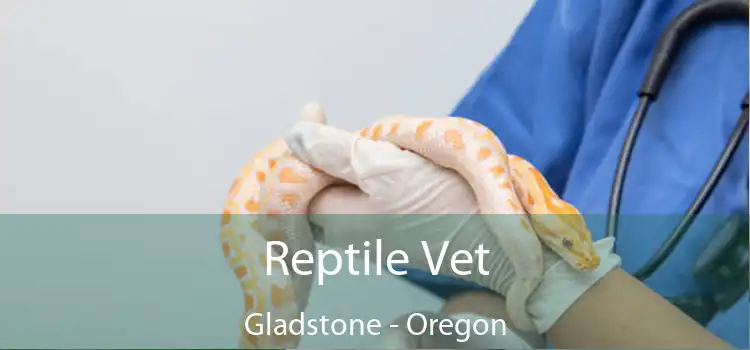 Reptile Vet Gladstone - Oregon